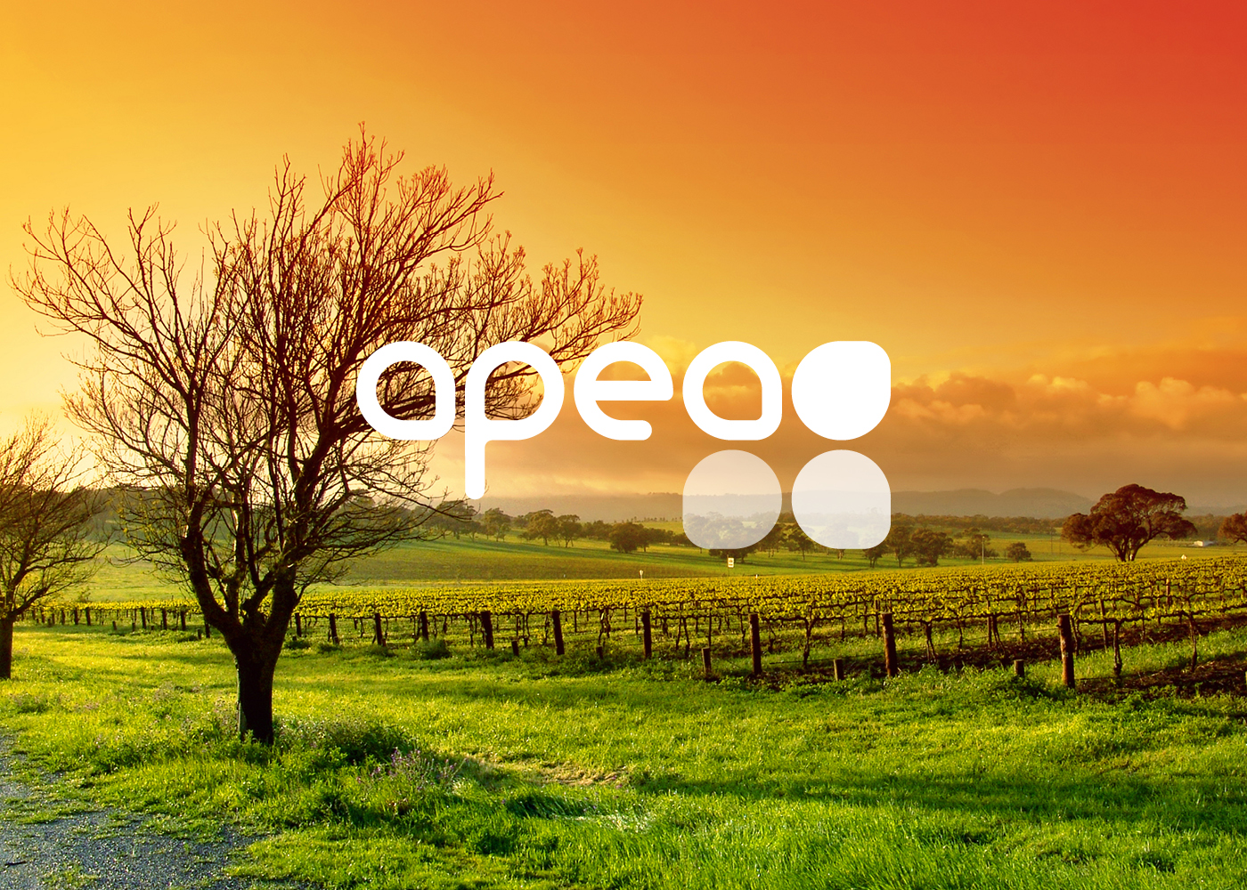 apea_website4