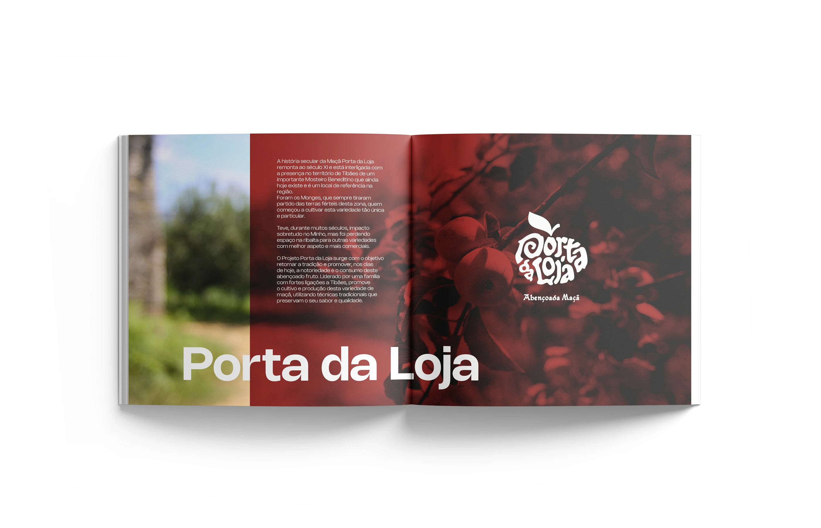 porta_loja_manual_comunicacao_montagem_v3_04